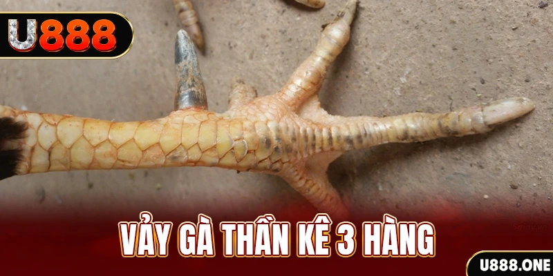 sv38 nổ hũ đổi thưởng . ai
