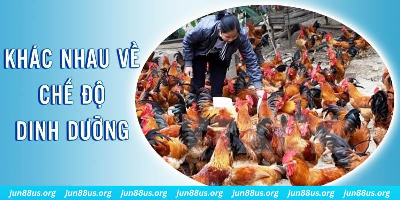 sv38 xổ số thứ sáu hàng tuần