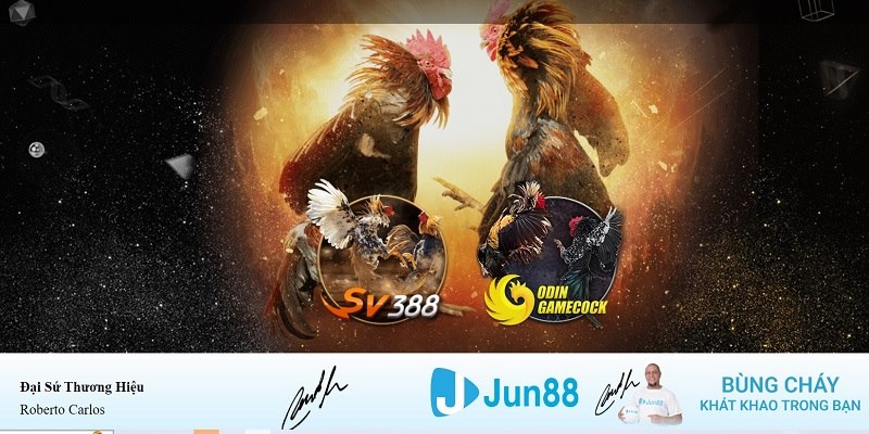 sv38 xổ số miền nam hàng tuần
