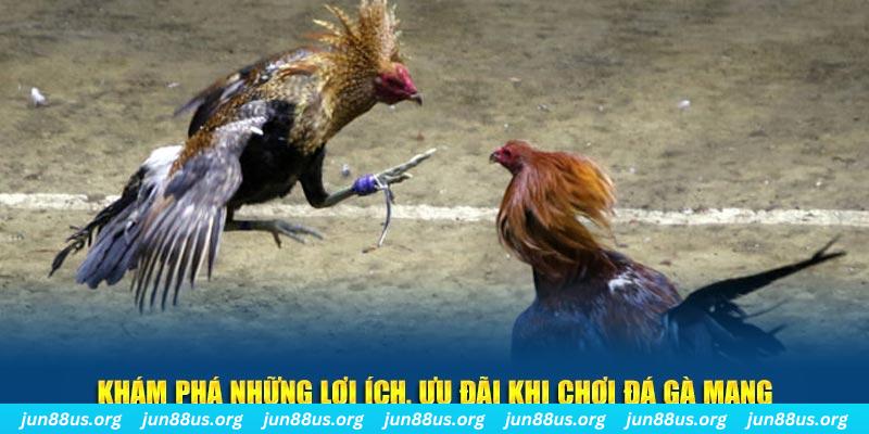Tài Xỉu 2