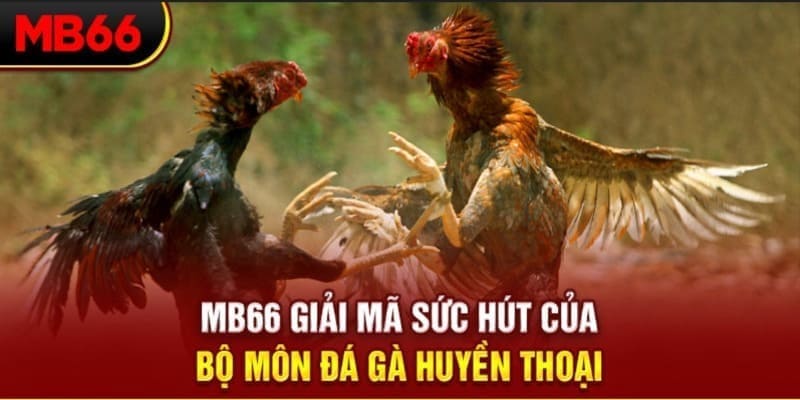 sv38 long bảo trong baccarat là gì