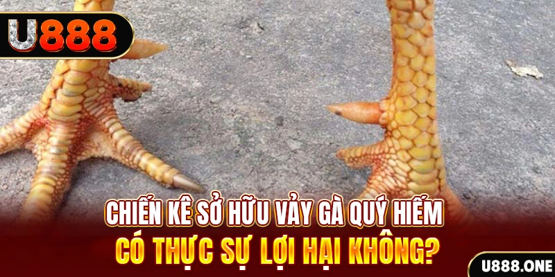 sv38 game cá cược máy bay