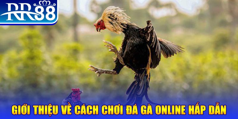sv38 nổ hũ 2 mặt là gì
