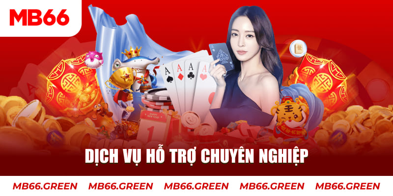 sv38 gà chọi cậu thanh