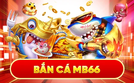 sv38 Cỡ bảy