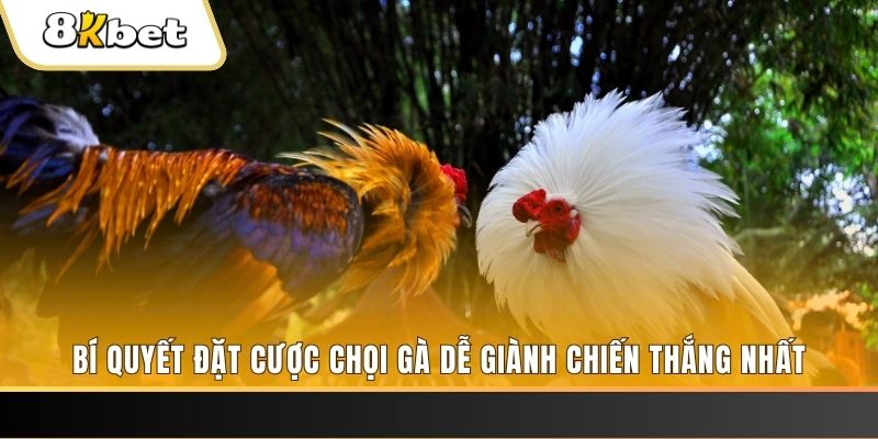 sv38 may club nổ hũ