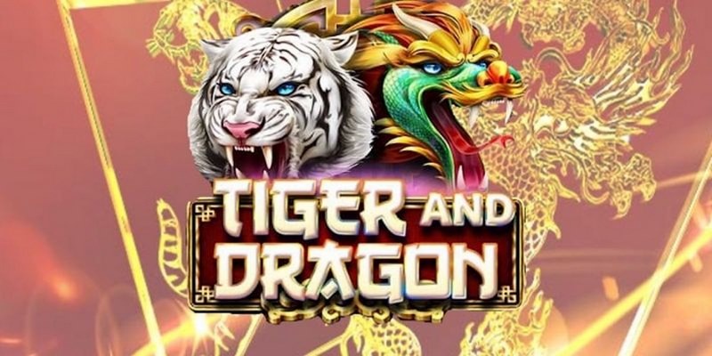 sv38 cá cược tiếng anh là gì