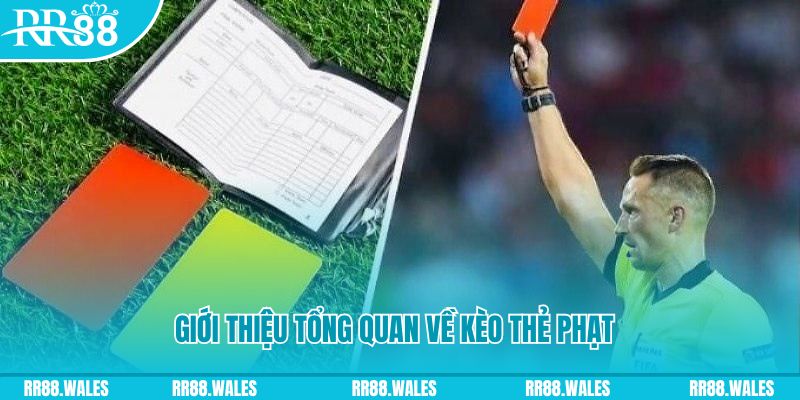 sv38 đá gà trực tiếp c1