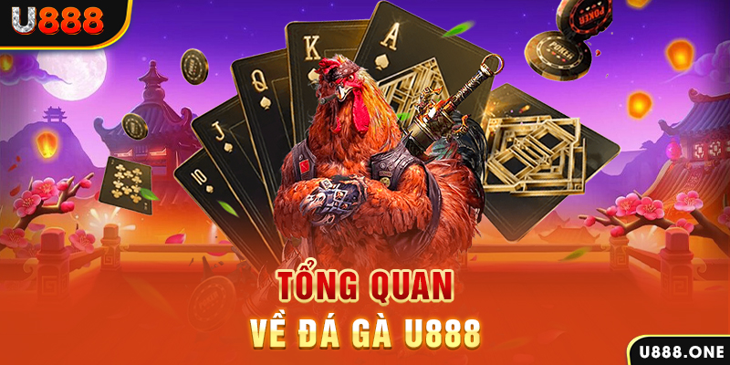 sv38 chạy quảng cáo cho game bài bị phạt như thế nào